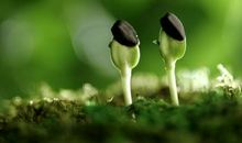 学会生存很重要