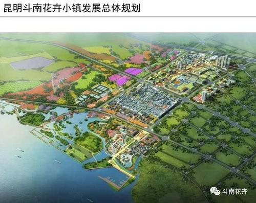 认识花木市