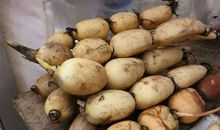 难忘的家乡味道