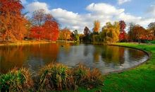 诗情画意的秋天