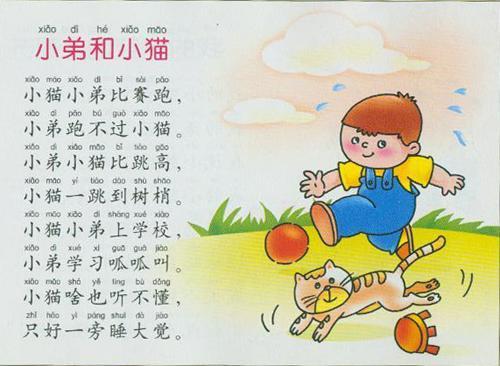 我与小猫的友谊