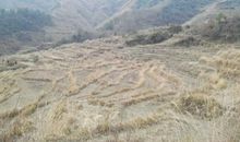 美啊外婆的乡村