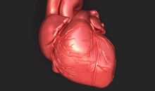 不可思议的奇迹