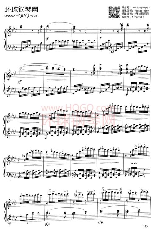 夏日之夜奏鸣曲