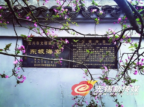 嚼海棠