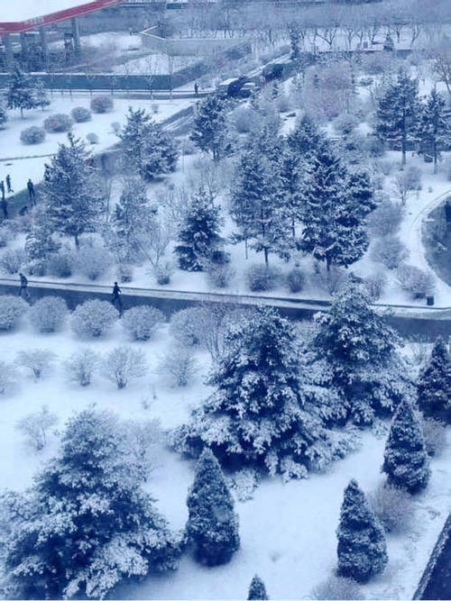 卡在雪中的回忆