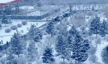 停留在雪中的记忆