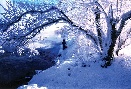 雪小姐