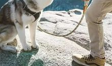 有趣的课余时间