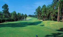 勇于挑战，追求卓越