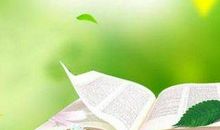 一路成长，一路芳香