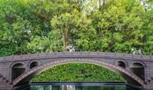 缩小了50倍的我