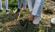 汗水换来的快乐