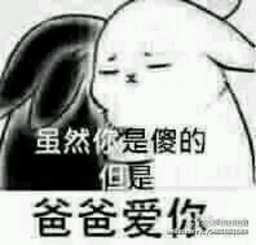 我的表情爸爸