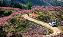 别具一格的春天