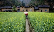 农村，春的故乡