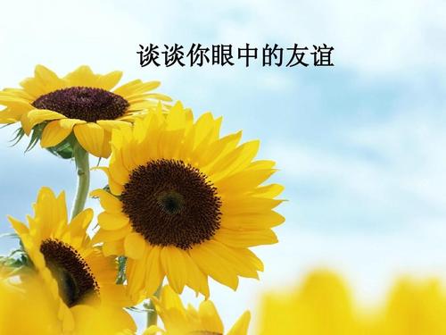我心中的友谊