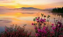 人生需有平静的心灵