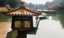 成长路上书籍相伴