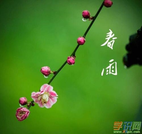 如果我是春雨