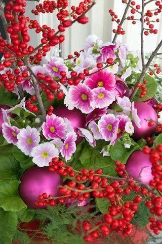 有趣的“新年花市”