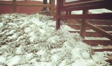 我与雪花有次约会