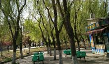 “春天小使者”历险记