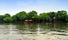 美丽的西湖进了梦中