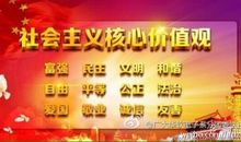 践行社会主义核心价值观做美丽小学生