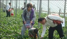 走进乡村，体验生活