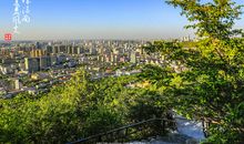 我爱家乡—泉城济南