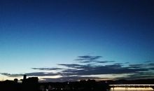 感恩的花开在清风洋溢的路上