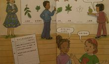 一片叶子的奇妙的旅行