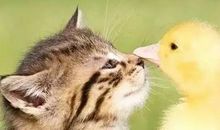 最想依靠的就是你