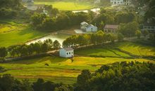 “弯腰”的田园风景