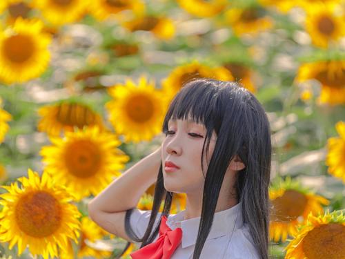 我心中的太阳