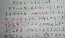 那张旧照片作文