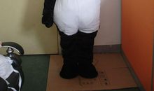 熊猫表演服风波