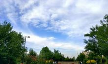 抬起头亲吻云朵的脸颊