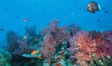 海底世界一日游