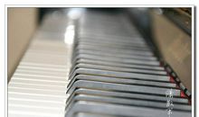 我的爱好是弹钢琴