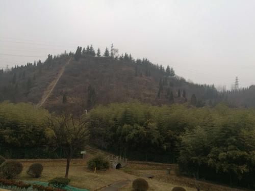 独自下毛毛雨