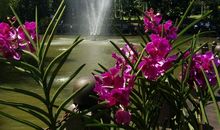 美丽的湖滨公园