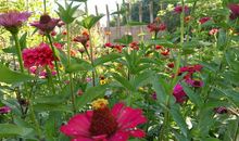 美丽的宝湖公园