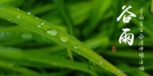 二十四节气与生命
