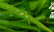 二十四节气与人生