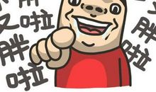 突然发现我胖了