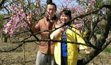 十里桃花万里香