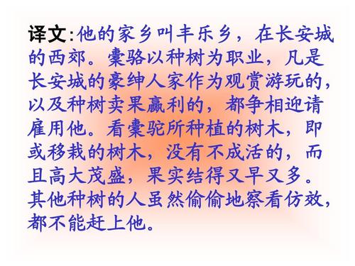 植树后郭立骆驼看完