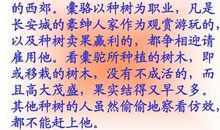 种树郭橐驼传读后感